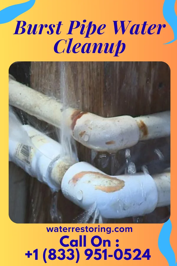 Burst Pipe Water Cleanup in Village Shires, PA