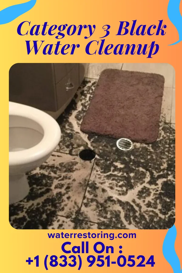 Category 3 Black Water Cleanup in Village Shires, PA