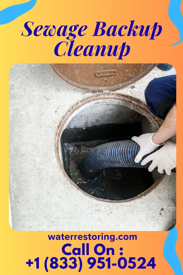 Sewage Backup Cleanup in Village Shires, PA