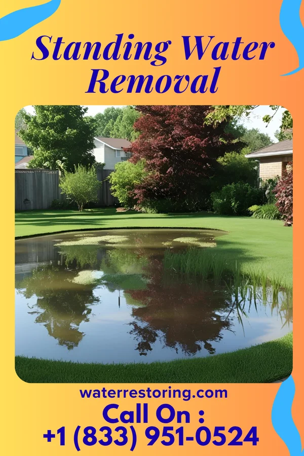 Standing Water Removal in Village Shires, PA